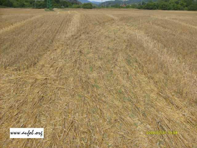 Klikni pre vet�ie zobrazenie