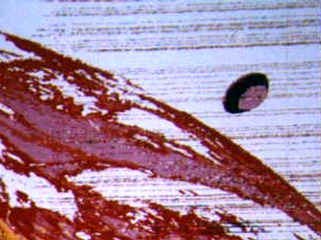 Klikni pre v��ie zobrazenie